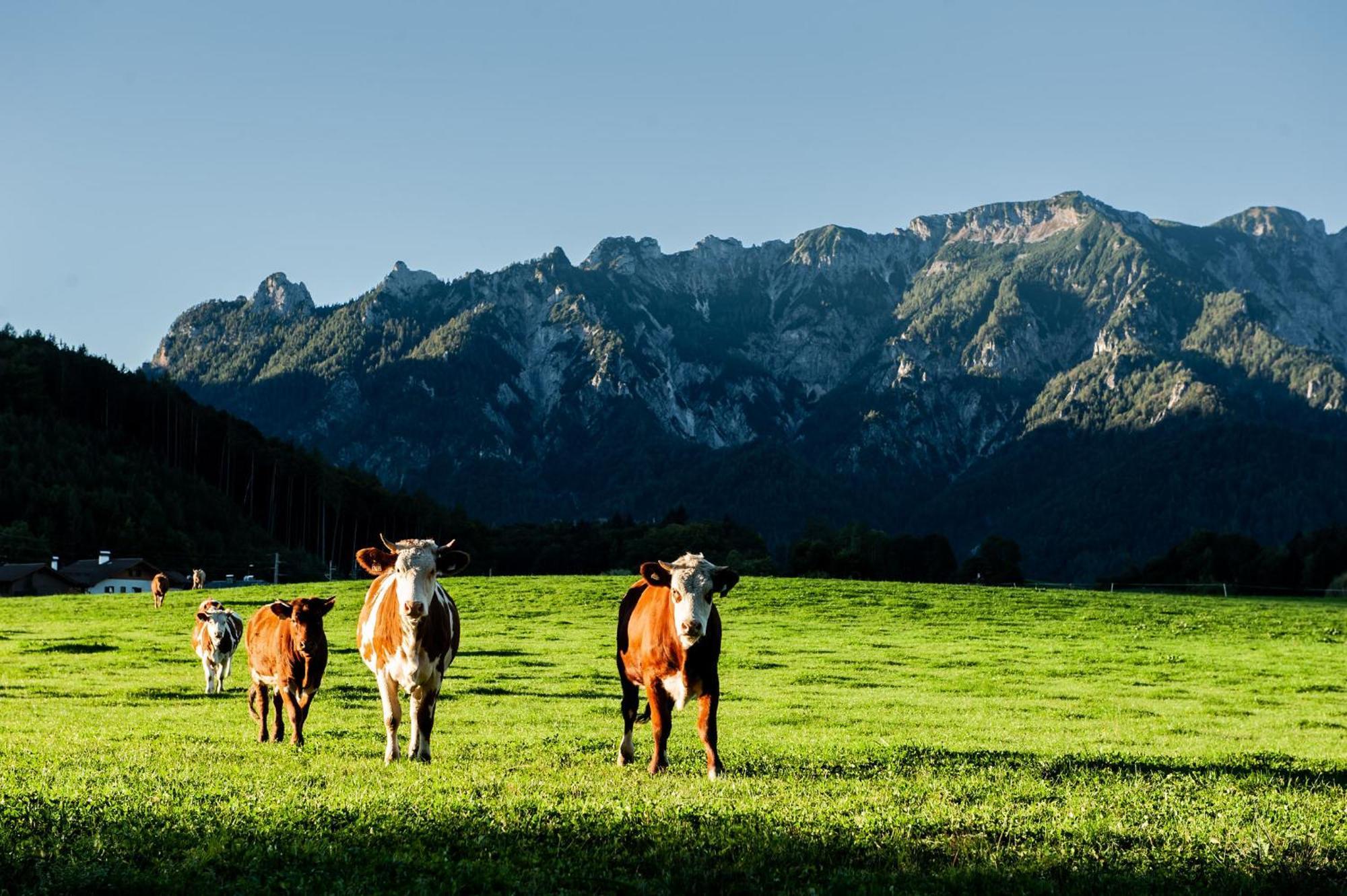 Gasthof Steinerwirt Grossgmain Esterno foto